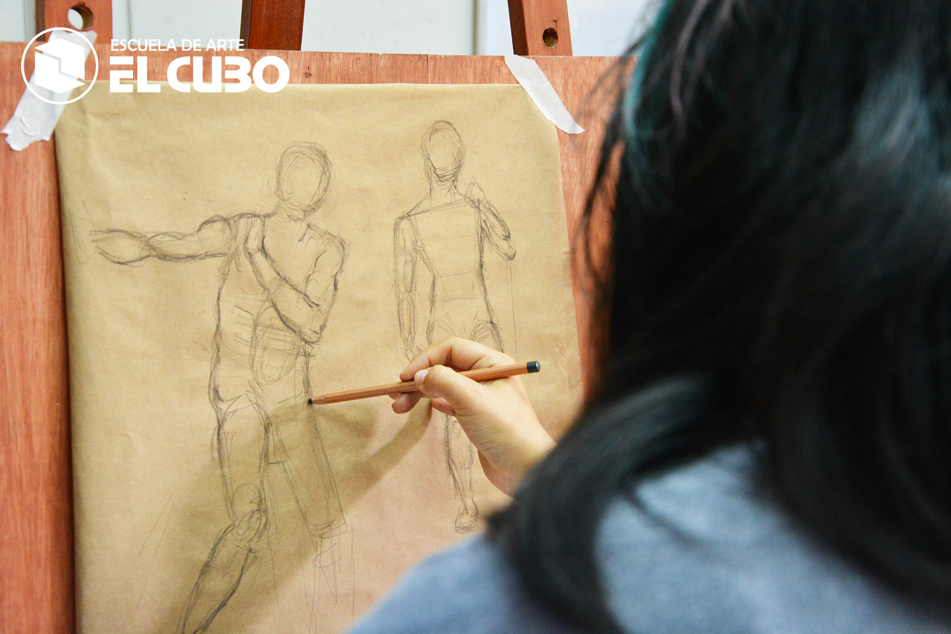 Dibujo Artístico de la Anatomía Humana Escuela de Arte